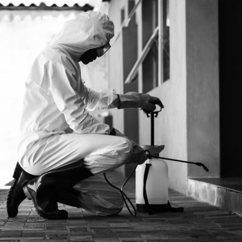 Expert hydrogommage Algora Environnement