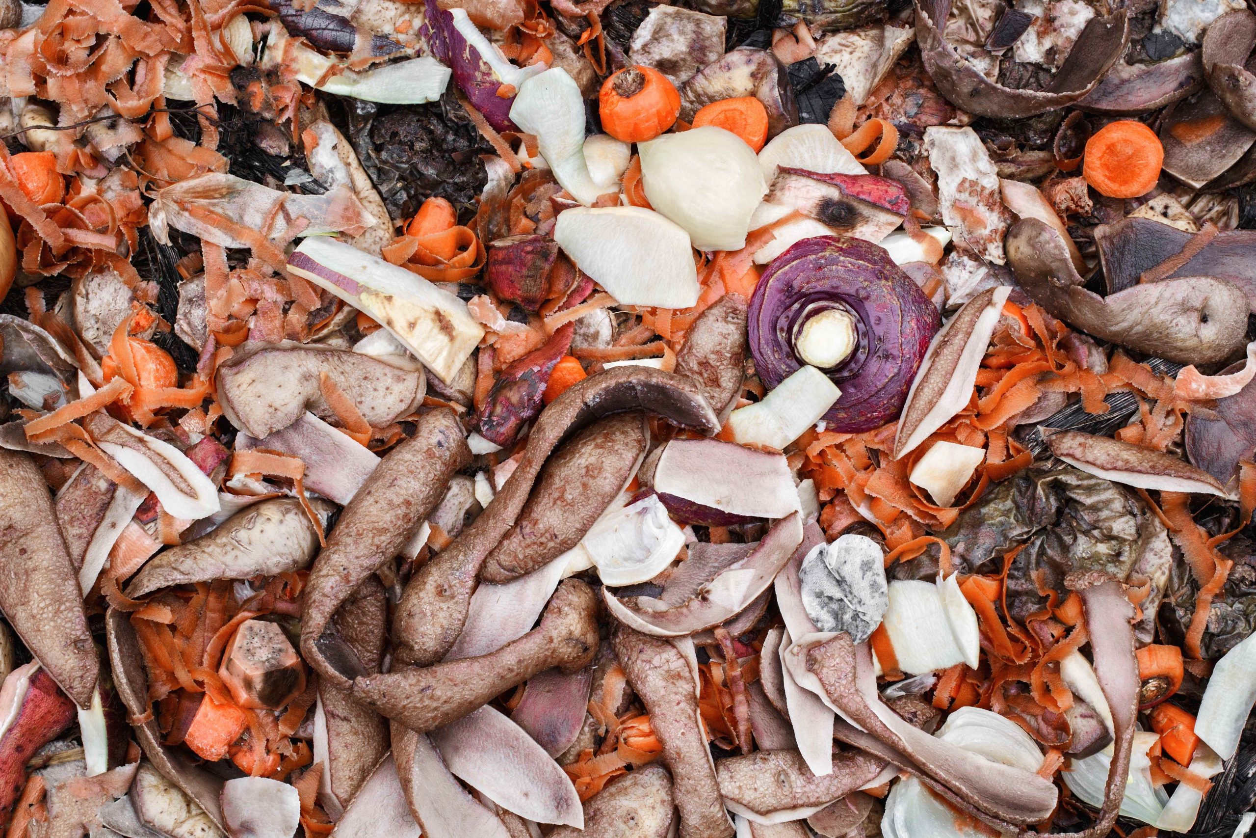 Épluchures de compost de légumes déshydratés