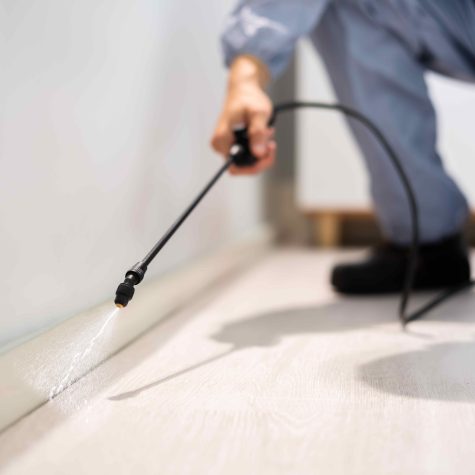 Un agent exterminateur de lutte antiparasitaire pulvérisant du pesticide sur le sol